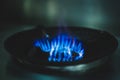 Blue gas flames on gas stove for cooking food. Royalty Free Stock Photo