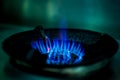 Blue gas flames on gas stove for cooking food. Royalty Free Stock Photo