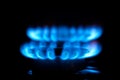 Blue gas flames Royalty Free Stock Photo