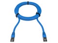 Blue generic network cable tied with black zipties