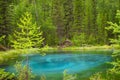 Blue geyser lake in Altay mountains with beautiful green forest Royalty Free Stock Photo