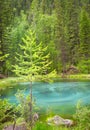 Blue geyser lake in Altay mountains with beautiful green forest Royalty Free Stock Photo