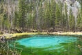 Blue geyser lake in the spring forest . Altai Mountains, Siberia, Russia Royalty Free Stock Photo