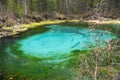 Blue geyser lake in the spring forest . Altai Mountains, Siberia, Russia Royalty Free Stock Photo