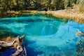 Blue geyser lake surrounded by forests in the depths of the Altai Mountain