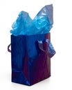 Blue Gift Bag Royalty Free Stock Photo