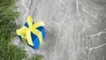 Blue gift box with arborvitae branches on grey marble background.