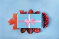 Blue gift box with atlas pink ribbon on blue background with autumn leaves