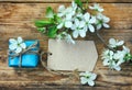 Blue gift box, blank paper tag and branch plum Royalty Free Stock Photo