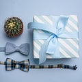 Blue gift box, two bow tie and cactus Royalty Free Stock Photo