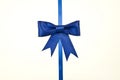 Blue gift, ribbon, bow Royalty Free Stock Photo