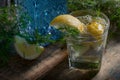 Blue gin , tonic and lemon on a old wooden table. Royalty Free Stock Photo