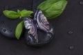 Blue glass butterfly on the black stones with basil leaves Royalty Free Stock Photo