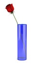 Blue glass vase with rose isolated on white Royalty Free Stock Photo