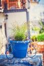 Blue glazed terracotta plant pots filled with