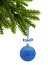 Blue Glitter Christmas decor ball on ribbon on tree branch isolated on white background Royalty Free Stock Photo