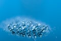 Water drops.Abstract blue background .Defocused background water drops. Blurred bokeh background Royalty Free Stock Photo