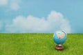 Blue globe on green grass over blue sky background. Royalty Free Stock Photo