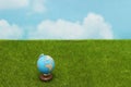 Blue globe on green grass over blue sky background. Royalty Free Stock Photo