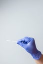 Blue gloved hand holding coronavirus nasal test stick, or covid-19. Coronavirus test concept Royalty Free Stock Photo