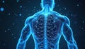 Blue glowing anatomical human body back view with digital network nodes and particles. Shows nervous system, muscle structure and Royalty Free Stock Photo
