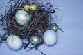 Blue and gold chicken and quail Easter eggs in a nest on a blue background. Free space for text. Happy Easter. Royalty Free Stock Photo