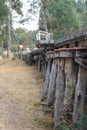 A blue and gold heritage Victorian Railways Y class diesel engine approaches the wooden trestle bridge near Muckleford railway sta