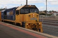 blue and gold Pacific National XR555 engine at the front of the Grainlander train in Maryborough