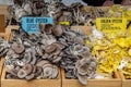 Blue and Golden Oyster Mushrooms for Sale at Local Farmers Market