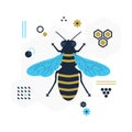 Blue and golden top view flying honey bee icon with signs and symbols