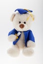 Blue Graduation Bear