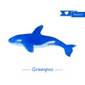 Blue grampus illustration. Handdrawn watercolor