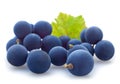 Blue grape berry