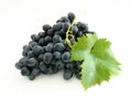 Blue grape cluster Royalty Free Stock Photo