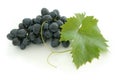 Blue grape cluster Royalty Free Stock Photo