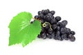Blue grape cluster Royalty Free Stock Photo