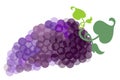 Blue grape cluster with leaves Royalty Free Stock Photo