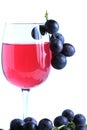 Blue grape cluster and red wine Royalty Free Stock Photo