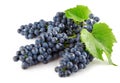 Blue grape with green leaves isolated fruit Royalty Free Stock Photo