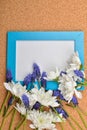 Blue grape hyacinth and white chrysanthemum on blank blackboard Royalty Free Stock Photo