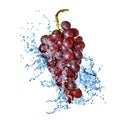 Blue grape with water splash isolated Royalty Free Stock Photo