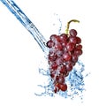 Blue grape with water splash isolated Royalty Free Stock Photo