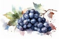 Blue grape watercolor nature. Generate Ai