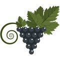 Blue grapes berries bunch with leaves flat vector icon