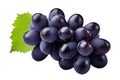 blue grapes bunch isolated on white background. Generative AI Royalty Free Stock Photo