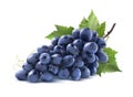 Blue grapes bunch with leaf isolated on white background Royalty Free Stock Photo