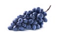 Blue grapes bunch no leaf isolated on white background Royalty Free Stock Photo