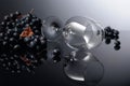 Blue grapes and empty wine glass on a black reflective background Royalty Free Stock Photo