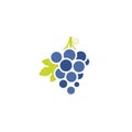 Blue grapes