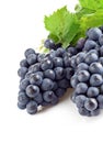 Blue grapes with green leaf Royalty Free Stock Photo